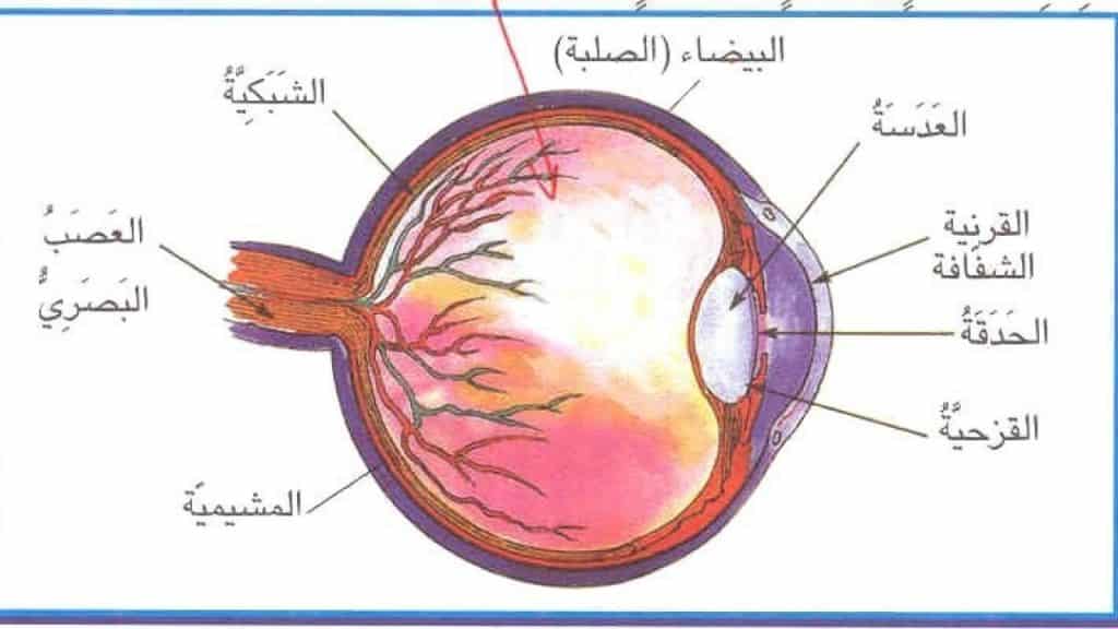 الاخطار النكسارية في العين