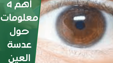 أهم 4 معلومات حول عدسة العين